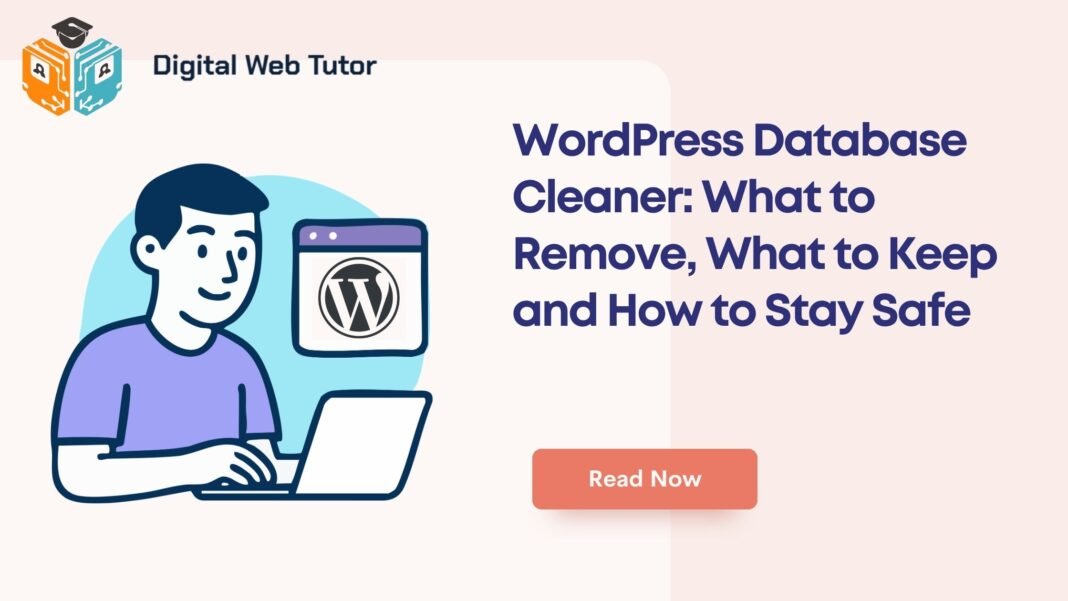 WordPress Database Cleaner_ What To Remove What To Keep And How To Stay Safe
